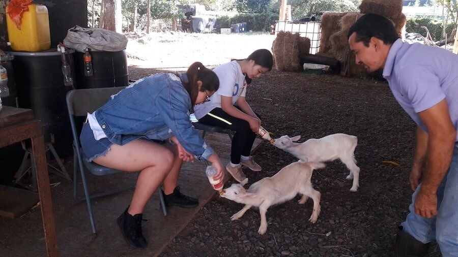 volunteer luang prabang laos