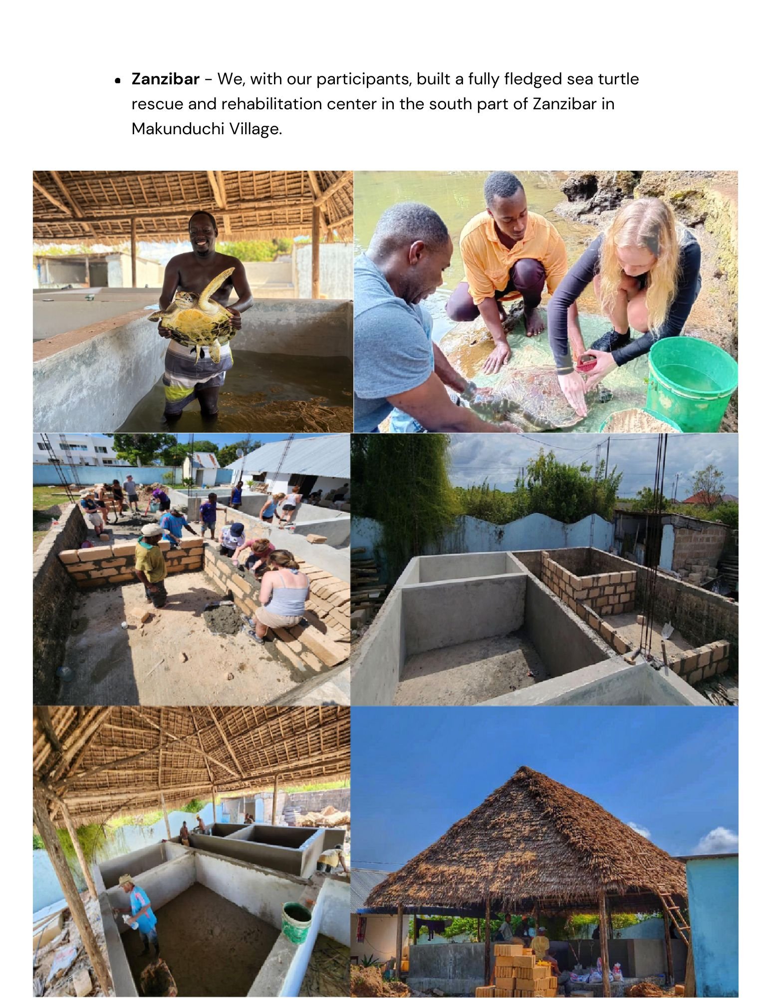 Copy of 2024 projects