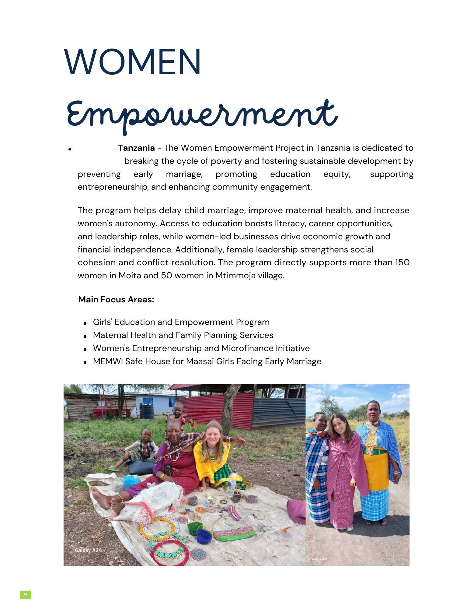 The-Green-Lion-Volunteer-Copy of 2024 projects (6)