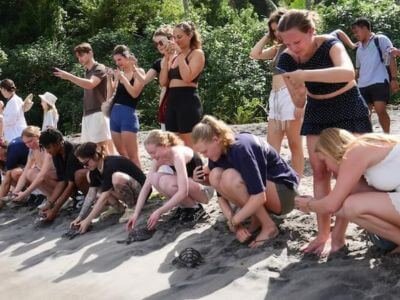 volunteer abroad bali best volunteer abroad programs